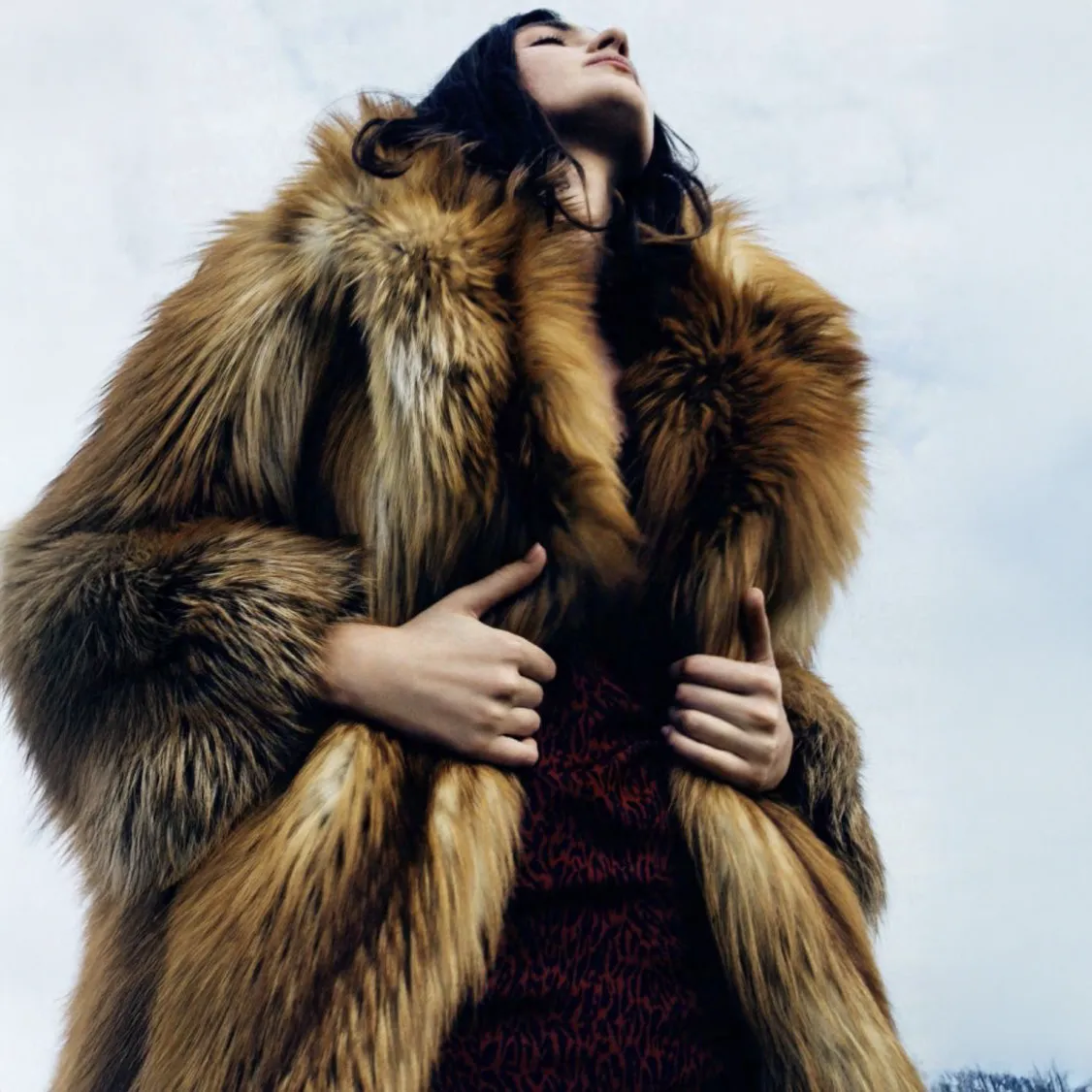 Fur – 1